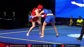 Davit Baghdasaryan (ARM) - Ozgur Guler (TUR) | Wushu European championships 2024