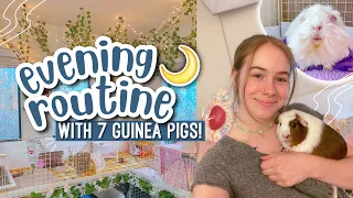 EVENING ROUTINE WITH 7 GUINEA PIGS! 🌙💤 | Vlog