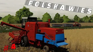 "Polska Wieś" 🔥 Zaczynamy żniwa 😱 Bizon 🔥 [#3] Fs19