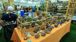 US National Show - With The Bonsai Zone