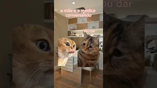 POV DOS GATINHOS 🐱: dia de vacina! (leia a descrição)