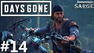 Zagrajmy w Days Gone PL odc. 14 - Ocalała z Marion Forks