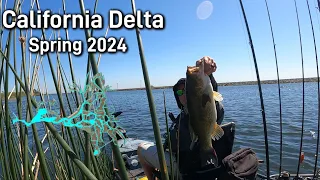 I haven’t been here for 7 months, spring time California Delta fishing