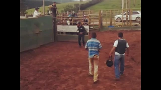 Treino de rodeio Douglas vs Delegado