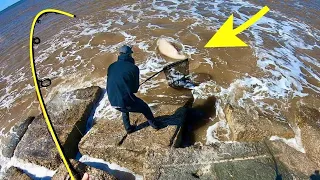 Fisherman lands FISH OF A LIFETIME from OCEAN JETTY!