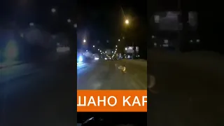 На нахуй… каршеринг