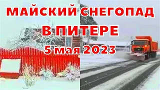 Снегопад в Санкт Петербурге 5 мая. Дорожники ликвидируют последствия снегопада. Заморозки в Москве