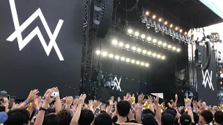 Alan Walker - Live | SUMMER SONIC 2019