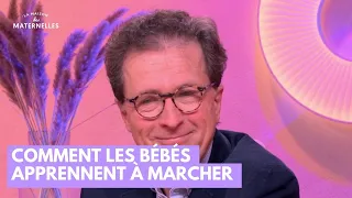 Comment les bébés apprennent à marcher - La Maison des maternelles #LMDM