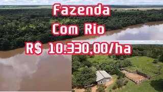 Fazenda a venda no Tocantins em Pedro Afonso/TO com Rio de grande porte#lavoura