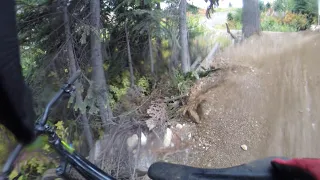 Stevens Pass Bike Park - Piranha Bird - Crash - Day 2