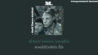 M. - Anil Emre daldal thaisub