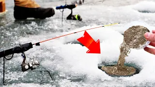 Grandfather pours it into the hole in winter and catches fish with bags WHY DIDN'T I KNOW ABOUT