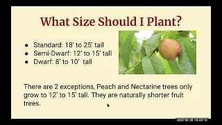 Fruit Tree Selection & Care, February 26, 2022, EnviroHouse Webinar