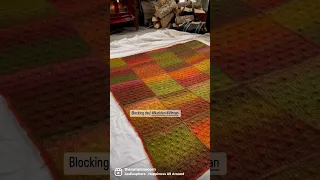 I Crocheted a Colorful Throw Blanket Out of Nutiden Wool #short