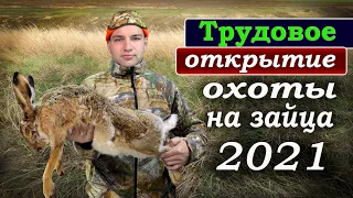 Трудовое ОТКРЫТИЕ охоты на ЗАЙЦА 2021