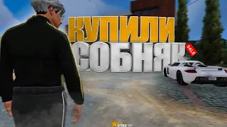 ЖАДНОСТЬ ЦЕНОЙ В 50.000.000 НА ГТА 5 РП | КУПИЛИ ОСОБНЯК ЗА 50 ДНЕЙ НА GTA 5 RP BURTON