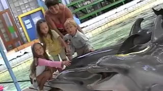 Дельфинарий, Севастополь 2006 г