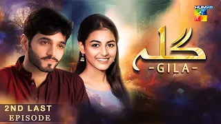 Gila 2nd Last Episode 76 [ Wahaj Ali - Anzela Abbasi ] Best Pakistani Serial - HUM TV