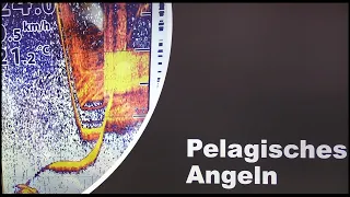 Echolottechnik Teil 3 -  Pelagisches angeln