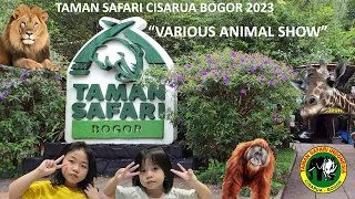 various animal show, taman safari bogor, show animal dari yang kecil ke besar