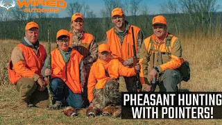 Pheasant Hunting with Pointers!