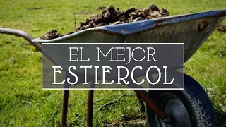 Cuál es el mejor ESTIÉRCOL para tu huerto?