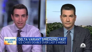Dr. Scott Gottlieb: Vaccinated people are less likely to spread Delta variant