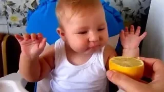 Дети кушают лимон/kids eat lemon