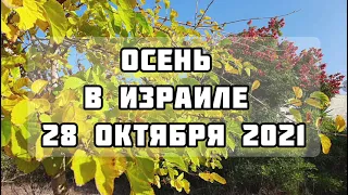 Осень в Израиле. Октябрь 2021