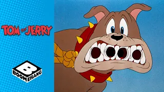 Jerry Has A Bodyguard | Tom & Jerry | Boomerang UK