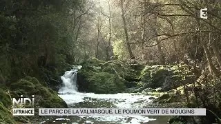 FEUILLETON : Le parc de Valmasque, le poumon vert de Mougins