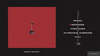 Blindead - Niewiosna (full album)