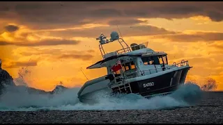 Sargo 36