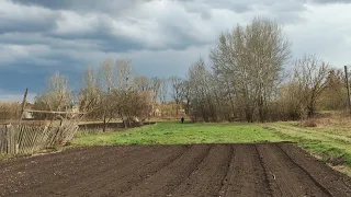 НЕ ПУСКАЄМО КУРЕЙ НА ЗОРАНИЙ ГОРОД..🤦