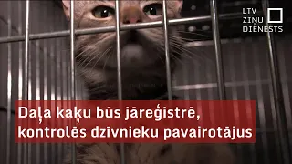 Daļa kaķu būs jāreģistrē, kontrolēs dzīvnieku pavairotājus