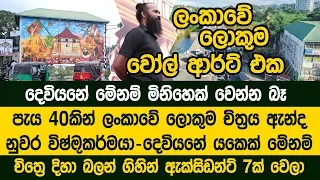 දෙවියනේ.. මේනම් යකෙක්..  ලංකාවේ ලොකුම වෝල් ආර්ට් එක තනියම ඇඳලා තියෙන්නේ කියපල්ලකෝ