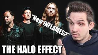 THE HALO EFFECT | Shadowminds | Metal Musician Reaction