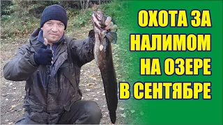 Как поймать налима? Мой способ ловли налима осенью. Налим на озере.