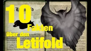 10 FAKTEN über den LETIFOLD