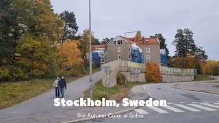 🇸🇪 Sweden Virtual Tour 4K - The Autumn Color Around Solna, Stockholm by SL Bus. October 2023.