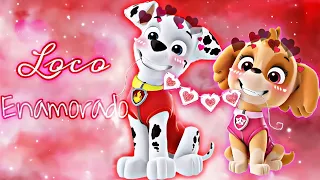 Paw Patrol ~ 💖Skye X Marshall❤ ~ Loco Enamorado💓 For: @pawpatrol_MyLittlePony_edits