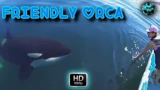 KILLER WHALE ENCOUNTER - Friendly Orca Whale Plays With Boaters  - Rare Footage