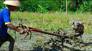 TRAKTOR CAPUNG GELEBEG LAHAN BERJERAMI