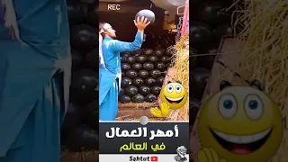 أمهر عمال في العالم