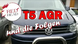 VW Bus T5 Ölverbrauch, AGR und Motorprobleme -3 auf einen Streich | Redhead