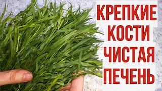 Всего СТАКАН в день для крепких КОСТЕЙ, здоровья ПОЧЕК и ПЕЧЕНИ, отёков как не бывало.