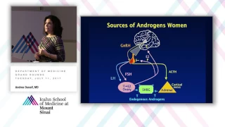 From the Ovary to the Pancreas: Insulin, Androgens & Cardiometabolic Risk in Women