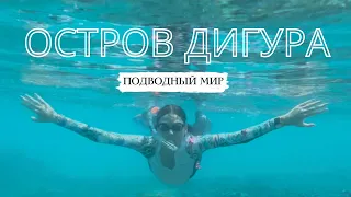 О.ДИГУРА-МАЛЬДИВЫ!Кого можно увидеть под водой?Есть ли черепашки?Встретила мурену и очень испугалась