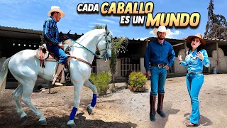 APRENDÍ TODO SOBRE LOS CABALLOS CON VICENTE FERNÁNDEZ Y JOAN SEBASTIAN | ALMA Coronel